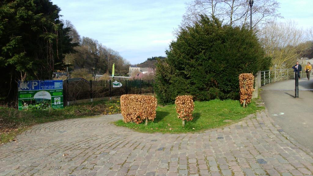 Appartamento La Tulipe Durbuy Esterno foto
